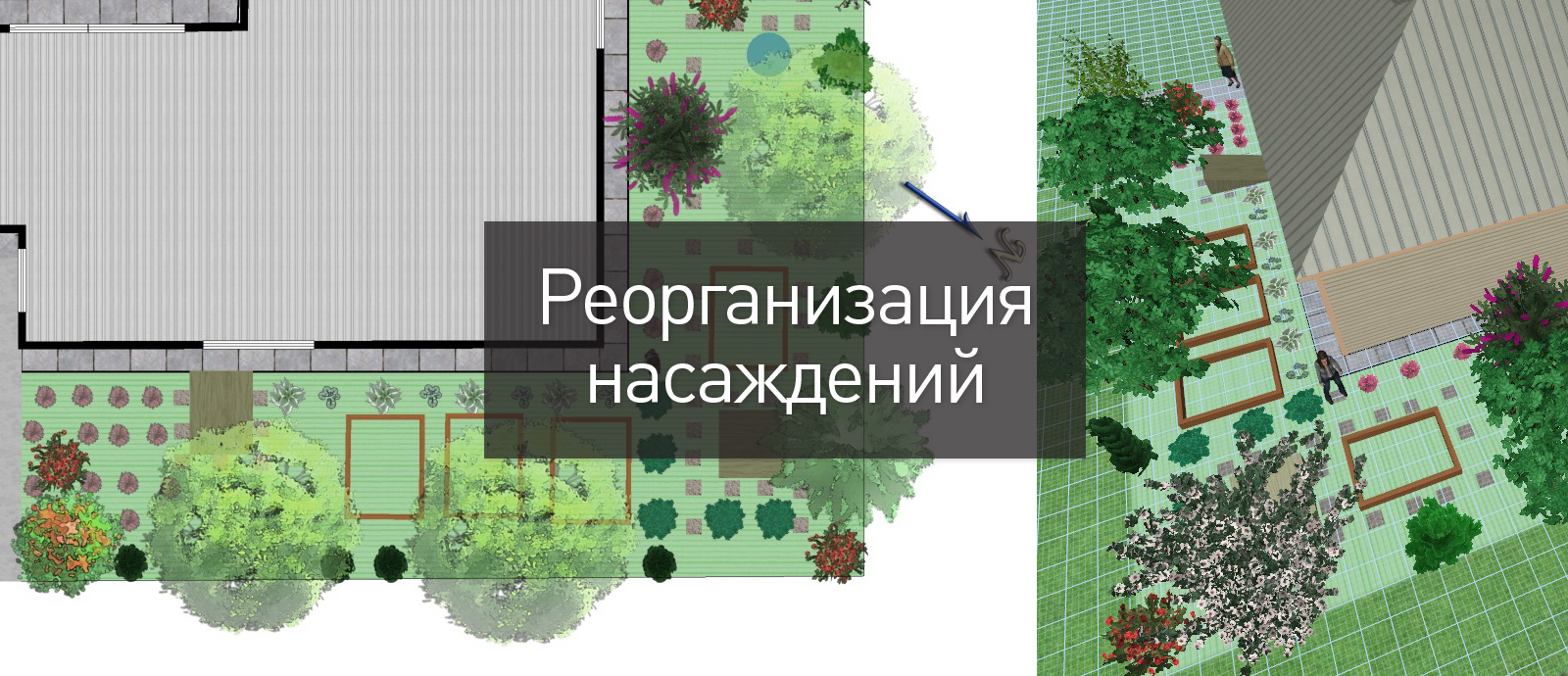 Реорганизация растений на существующем участке